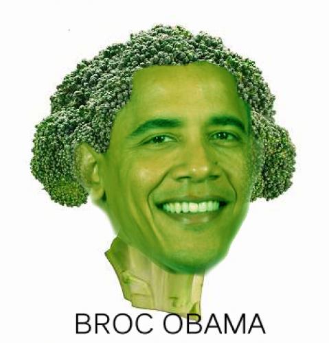 broc_obama_2.jpg